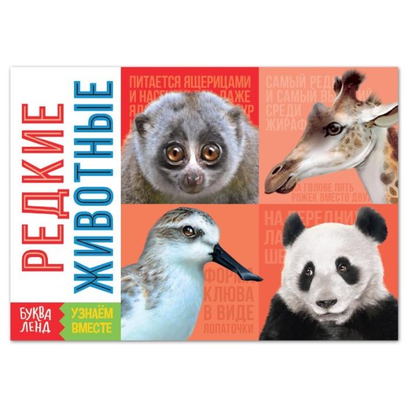 Обучающая книга «Редкие животные», 20 стр.