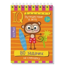 Умный блокнот 80 задачек на смекалку Путешествие в лето. Айрис-пресс