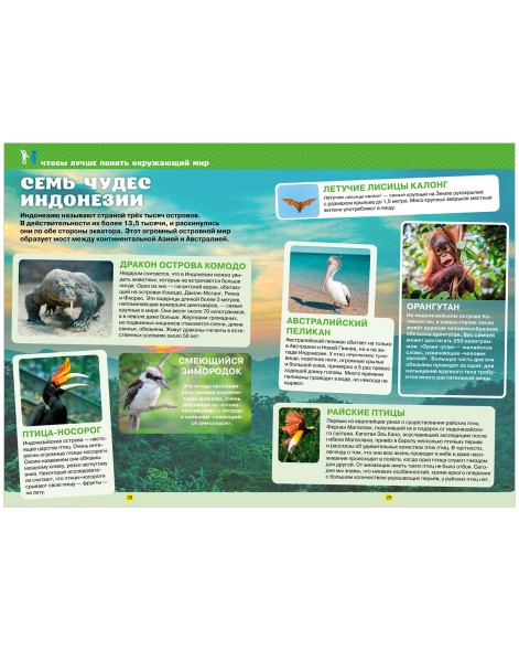 Тетрадь-тренажёр по математике, русскому языку, чтению и окружающему миру. 3 класс, 64 стр