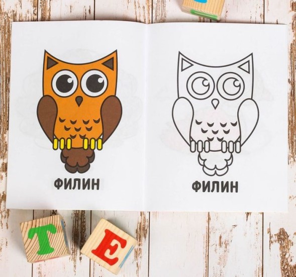 Раскраска «Птицы», 16 стр.