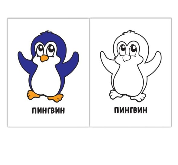 Раскраска «Птицы», 16 стр.