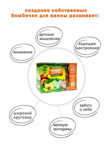 Набор для творчества Master IQ2, Чудо бомбочки Животный мир