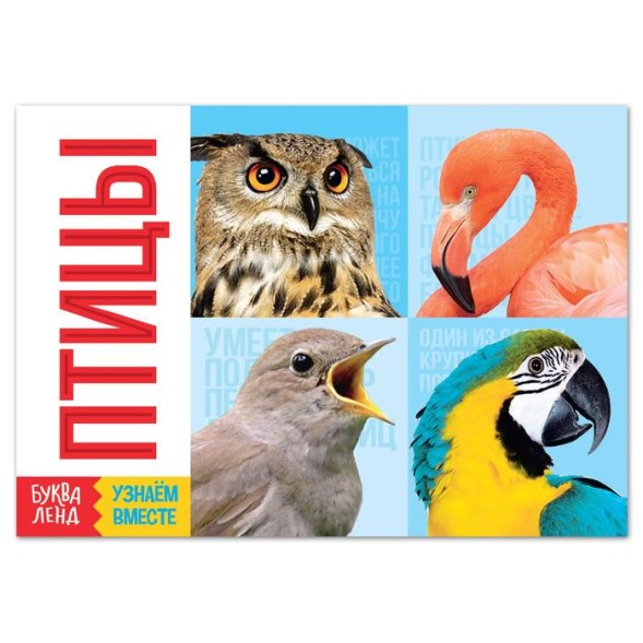 Обучающая книга «Птицы», 20 стр.