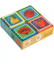 Мини-книжки ЭВА. Что здесь растёт? (Комплект из 4 книг), Айрис-пресс