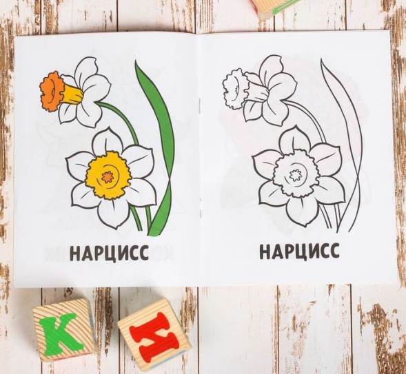 Раскраска «Цветы», 16 стр.