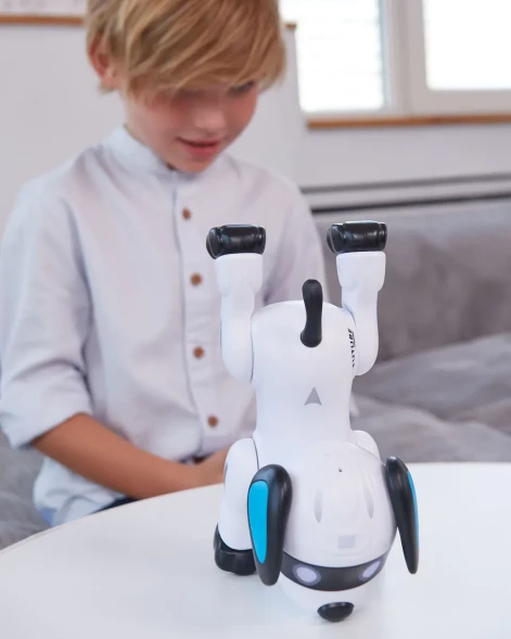 Собака РУ Mobicaro