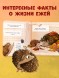 Книжки-картонки. Ёжик в саду. Первая книга малыша о природе, 16 стр