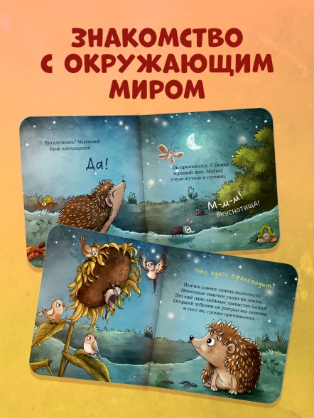 Книжки-картонки. Ёжик в саду. Первая книга малыша о природе, 16 стр