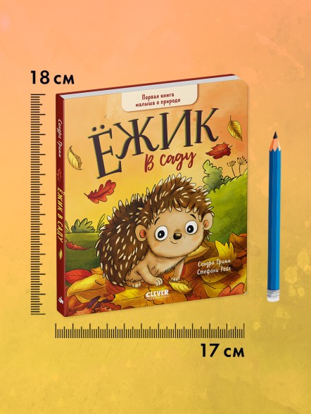 Книжки-картонки. Ёжик в саду. Первая книга малыша о природе, 16 стр
