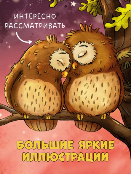 Книжки-картонки. Совушка в лесу. Первая книга малыша о природе, 16 стр