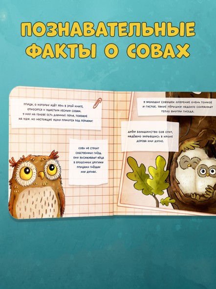 Книжки-картонки. Совушка в лесу. Первая книга малыша о природе, 16 стр