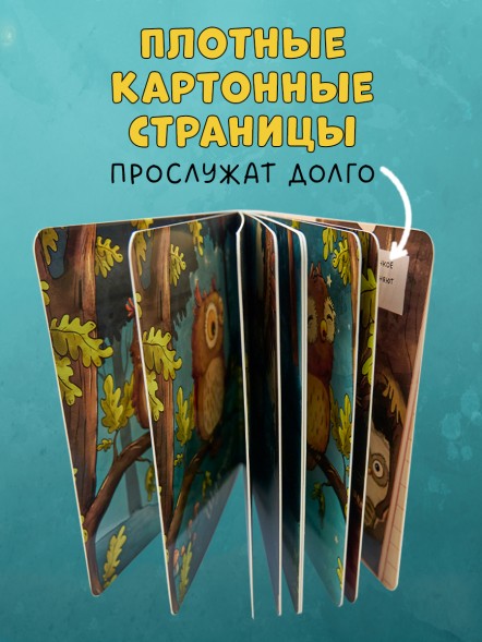Книжки-картонки. Совушка в лесу. Первая книга малыша о природе, 16 стр