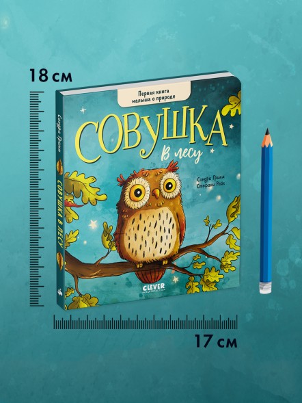 Книжки-картонки. Совушка в лесу. Первая книга малыша о природе, 16 стр