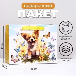 Пакет подарочный ламинированный горизонтальный «Собачка», 23×18×10 см