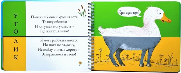 Картинки - половинки. Домашние животные