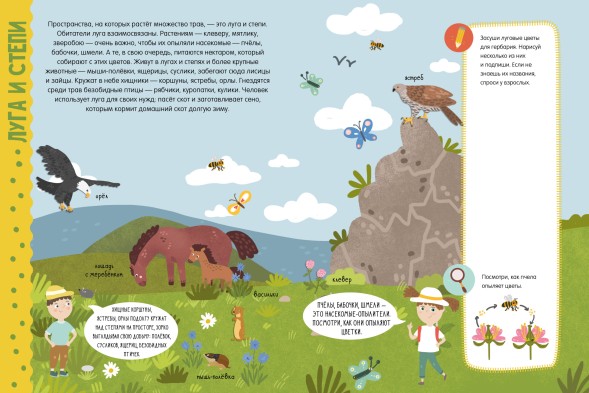 Окружающий мир. Секреты планеты Земля. Факты, задания, эксперименты, 64 страницы