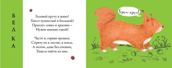 Картинки-половинки Лесные животные