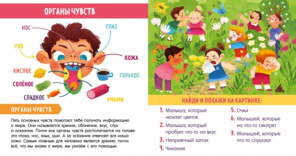 Найди и покажи, малыш. Моё тело, 24 стр