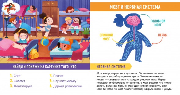 Найди и покажи, малыш. Моё тело, 24 стр