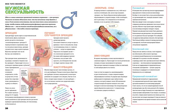 Удивительные энциклопедии. Мое тело меняется, 48 страниц