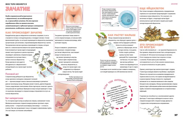 Удивительные энциклопедии. Мое тело меняется, 48 страниц