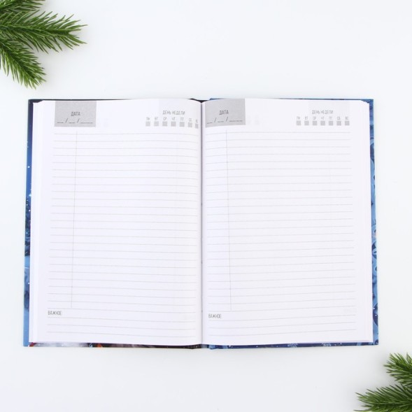 Ежедневник и термостакан «Волшебного Нового Года!»