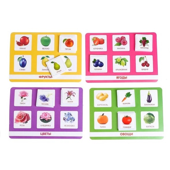 Лото «Растительный мир» по методике Г. Домана, Лас Играс