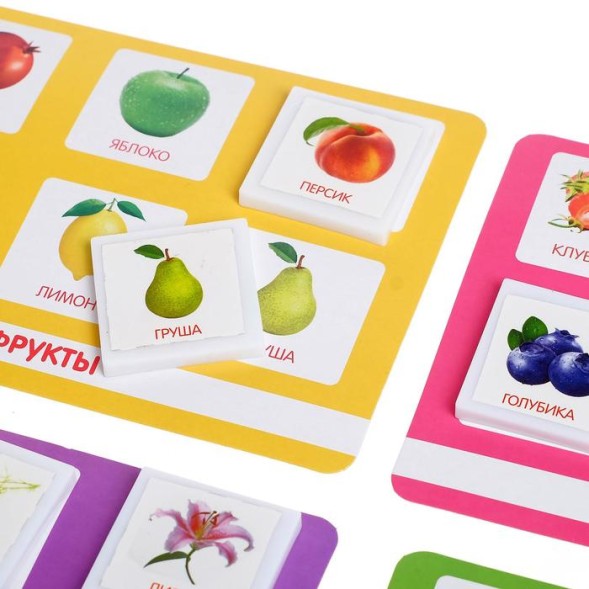 Лото «Растительный мир» по методике Г. Домана, Лас Играс