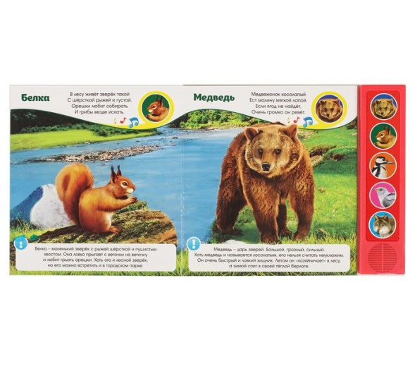 Музыкальная книга «Звуки леса», 10 стр.