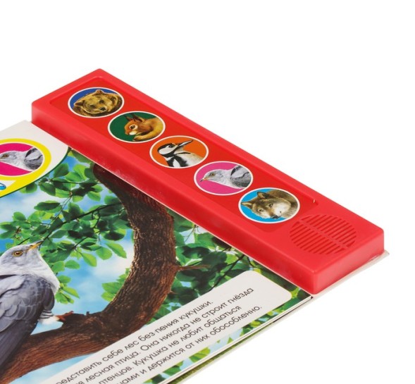 Музыкальная книга «Звуки леса», 10 стр.