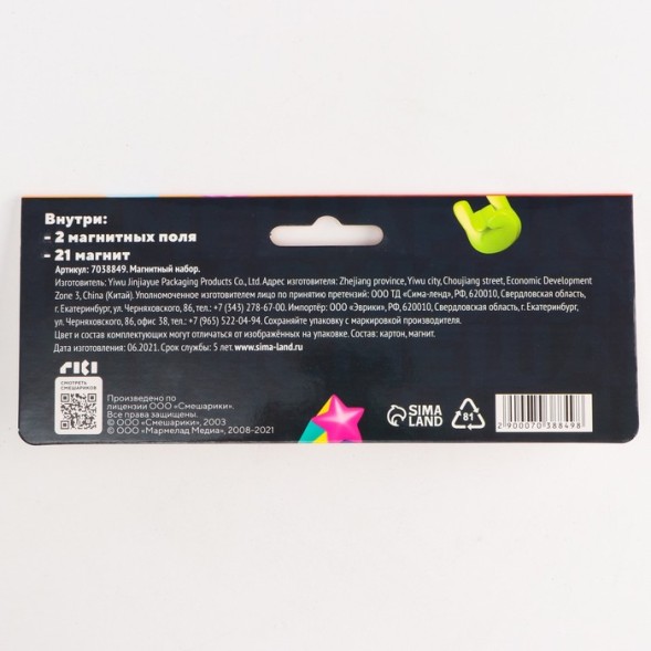 Магнитный развивающий набор «Смешарики»