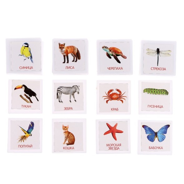 Лото «Мир животных» по методике Г. Домана, Лас Играс