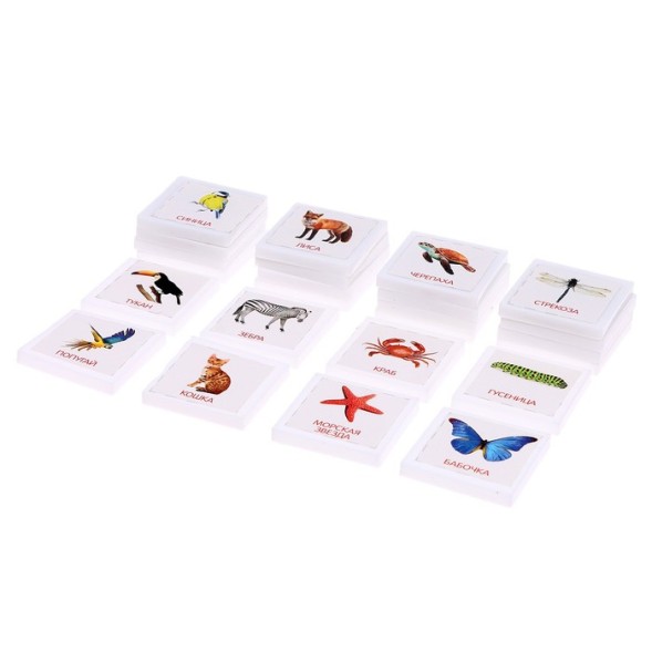 Лото «Мир животных» по методике Г. Домана, Лас Играс