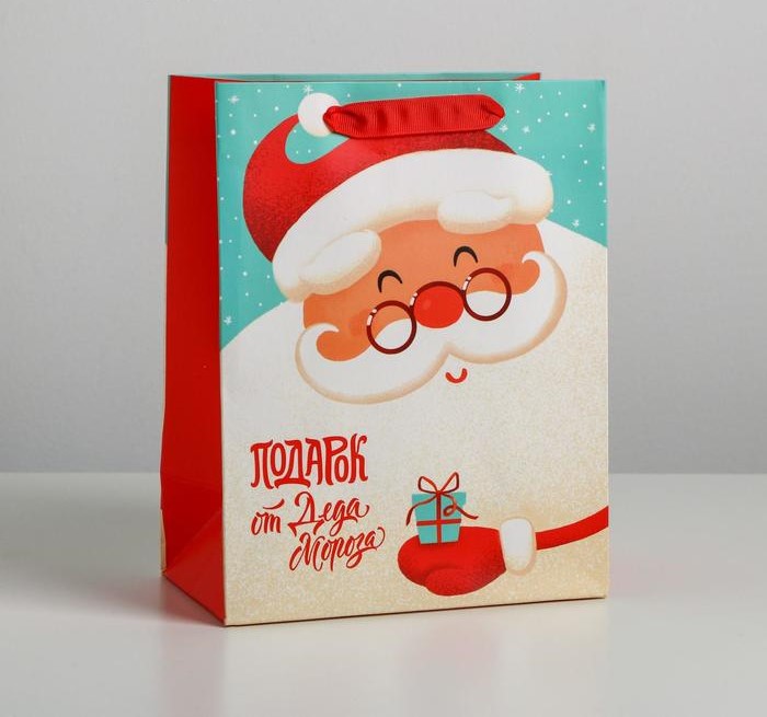 Пакет ламинированный вертикальный «Подарок от Деда Мороза», 18 × 23 × 10 см
